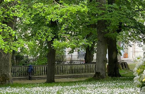 Les écuries du château - Foto 4