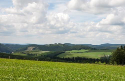 Ferienhaus Grenzweg - Foto 16