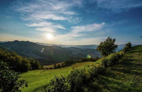 Beautiful Villa in Belforte All'isauro With Swimming Pool - Foto 76