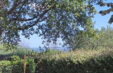 Maison pour séjour en famille - Foto 22