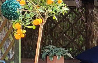 Escape the Ordinary - Photo 50