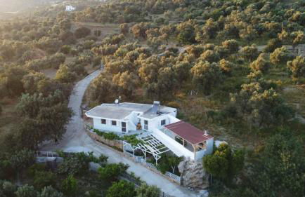 Mano's House - Foto 50