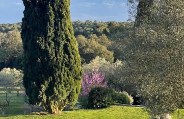 Exquisite farmhouse in the Empordà Costa Brava - Foto 69
