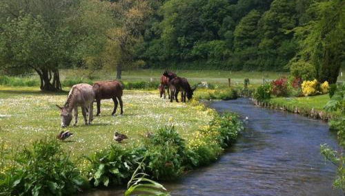 la cascatelle - Foto 2