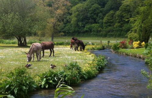 la cascatelle - Foto 2