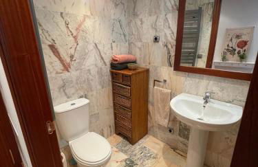 CALMFRANC ático abuhardillado con vistas al río y la montaña Avistamiento de ciervos en Canfranc Pueblo - Foto 26