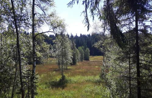 Ferienwohnung Sonnenschein - Foto 29