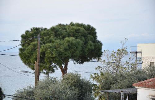 Casa Valesa - Photo 32