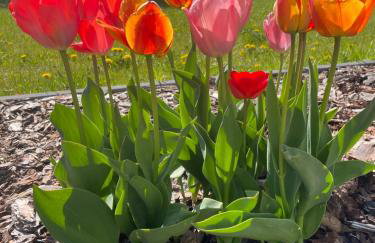 Pogodna Zagroda-Dom na Kaszubach & Strefa Spa - Foto 65