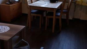 Wohnung 3 mit Terrasse Haus Annegrete - Foto 3