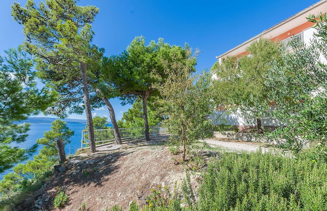 Apartments Ilijanka - Foto 54