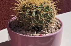 Homeliday RELAX - Foto 48