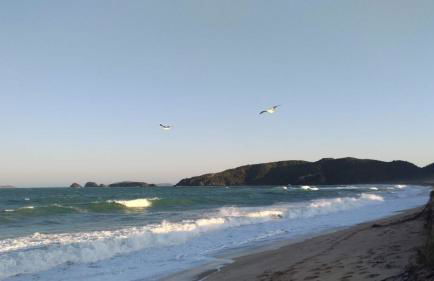 Casa Pedro - Foto 10