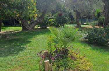 Bill's Garden Villa - Foto 47
