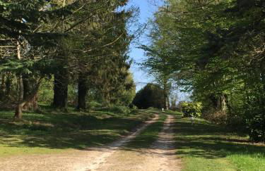 Gîte du Grand Sancerrois - Foto 36