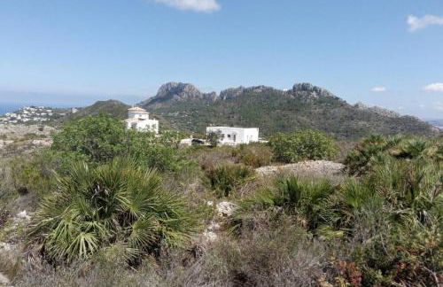 El Sol Blanco - Foto 14