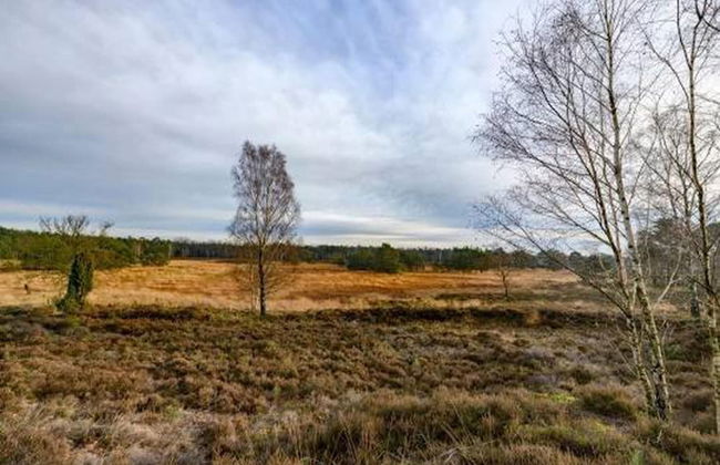 Designer Chalet in the Veluwe - Photo 36