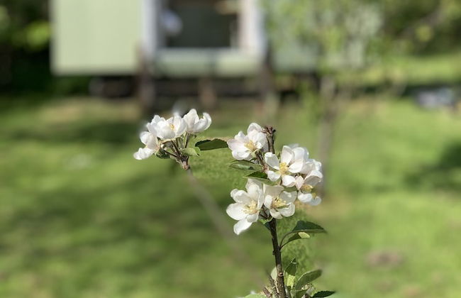 Hillcrest Hut - Foto 17