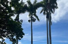 Loft na maravilhosa praia de Ubu Anchieta ES - Foto 11