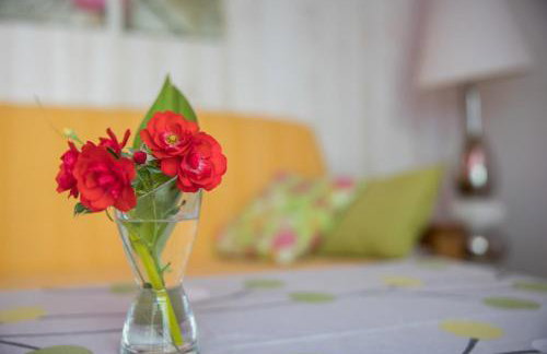 Joli Petit Chalet La Cote d'Argent - Photo 12