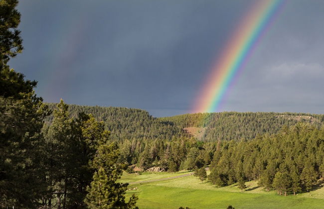 Alpine Gardens - Foto 54