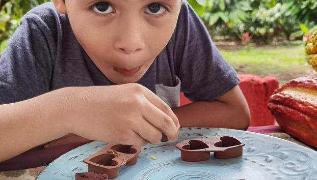 Degustación de chocolate