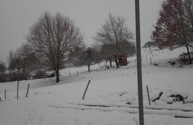 Ferienwohnung Zum Bienenstock - Photo 23