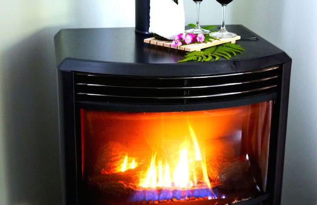 Franz Josef Treetops - Foto 10