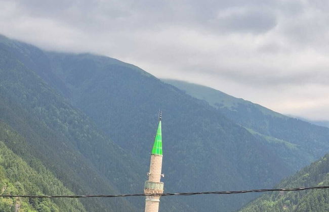 Sefa Apart - Photo 62