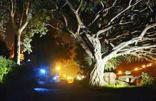 Torre Bella Gardens - Foto 73