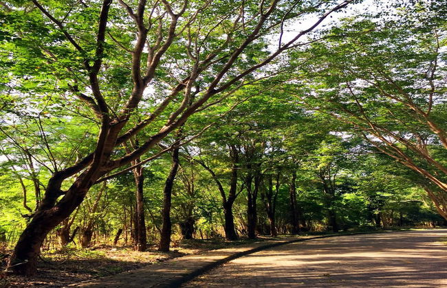Baan Parimtarn Kanchanaburi - Foto 16