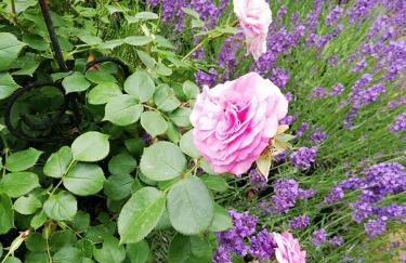 Kreativ Ferienwohnung Domizil der Sinne - Foto 22