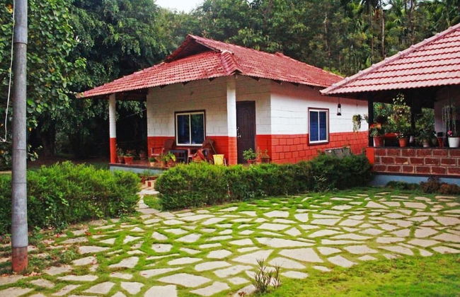 Nature Valley Resort - Foto 34