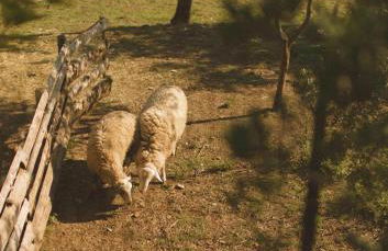 Villa Maria - in the hills above Florence - Foto 51