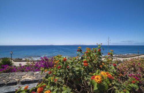 Costa Gwiga - Photo 13