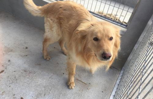 Reul Alto Cortijos Rurales - Foto 49