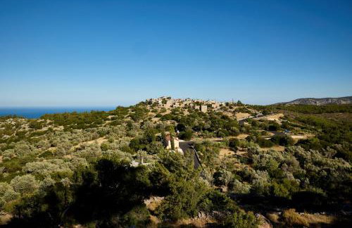 Avgonyma Square Nest - Foto 8