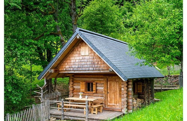 Infanglalm "attersee" - Foto 32