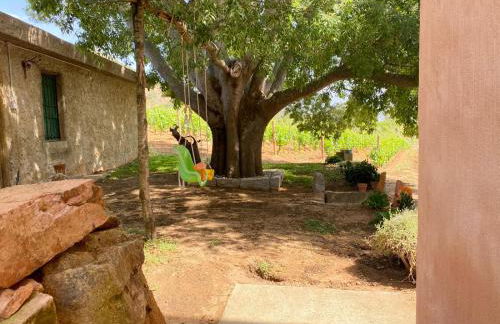 Monte Astili - Foto 35