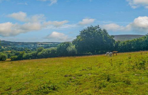 Creenagh's Cottage - Foto 27