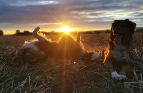 Ferienwohnung Rummelsmühle - Foto 18