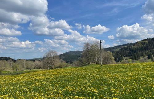 Ferienwohnung am Hirtenpfad - Foto 13