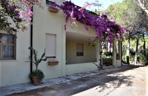 Vacanze Sardegna Mare San Giovanni Posada - Foto 27