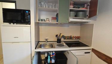 Location aux Sybelles pieds des pistes à Saint-Sorlin-d'Arves - Foto 5