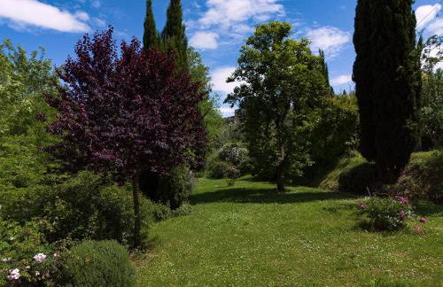 Appartamento con terrazza privata e giardino vicino a Pisa e Firenze - Foto 41