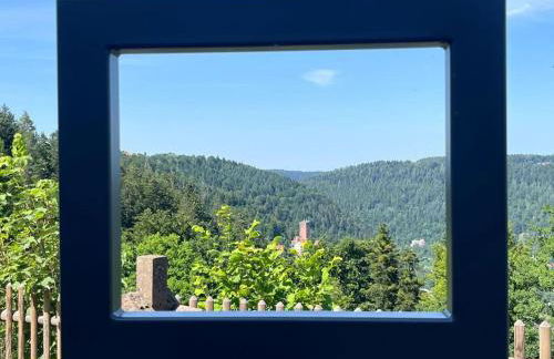 NurdachZeit - Nurdachhaus Ferienhaus - Foto 25