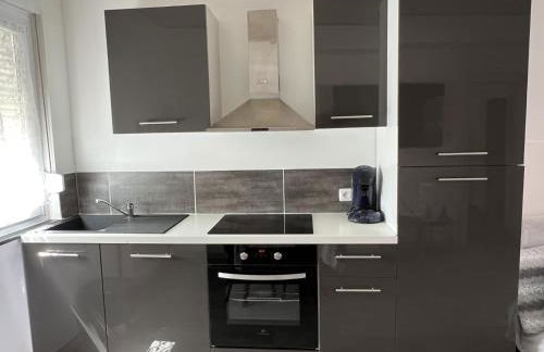 Gite des cigognes bleu - Foto 4