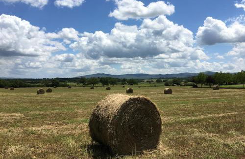 Fattoria Agriturismo Nerbona - Foto 70