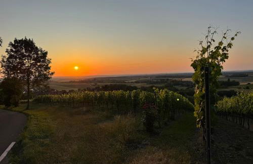 Panorama 180 - Foto 1