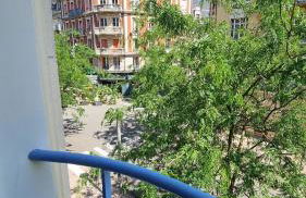 La perle du Lion - Foto 31